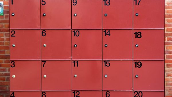 Photo christmas bin collection dates